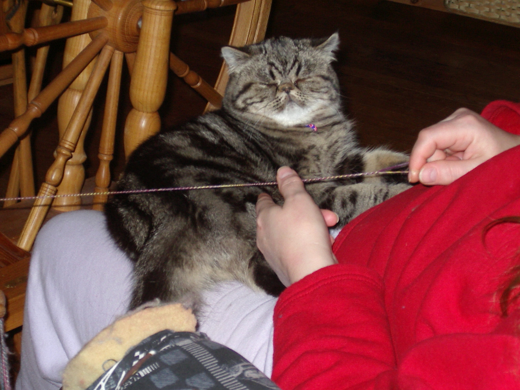 Supervisor Pooky