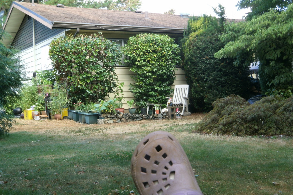 The New View of the Rock wall from my hide a way chair.