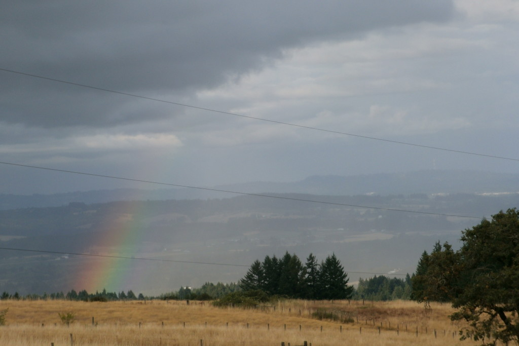 Looking for my Pot of Gold!