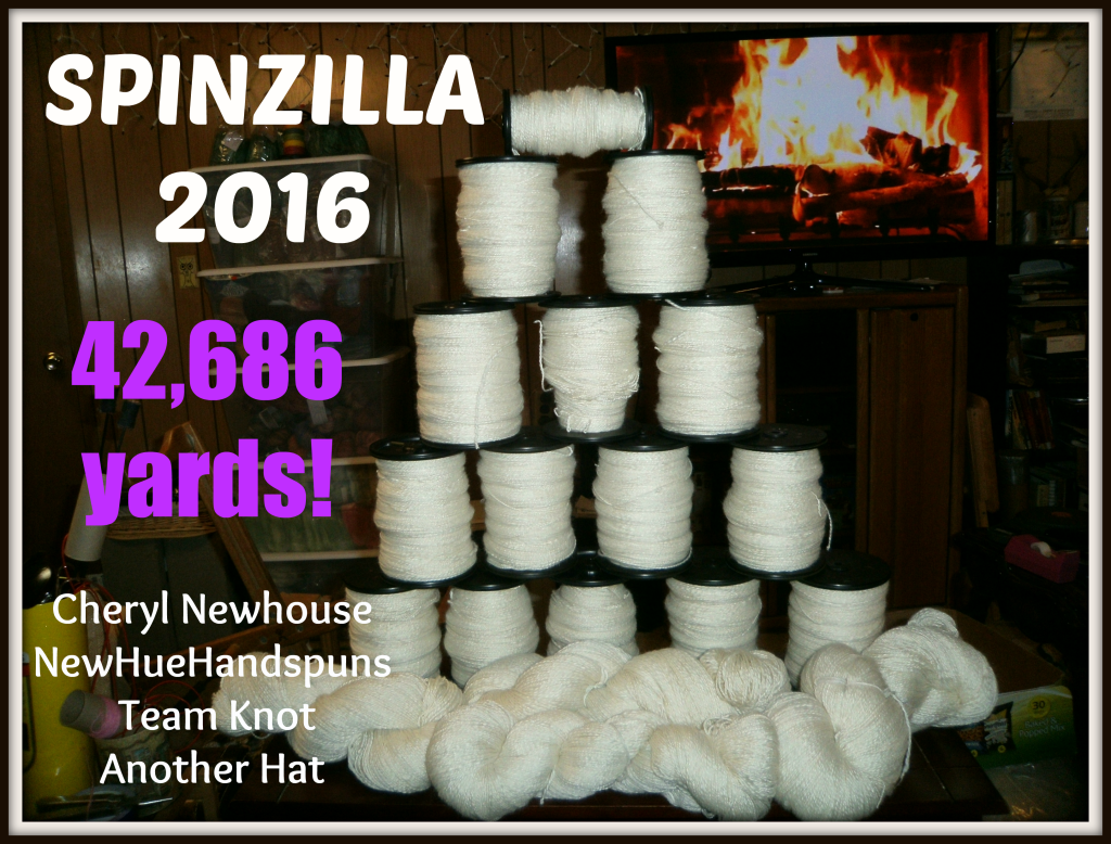 2nd Place Spinzilla 2016